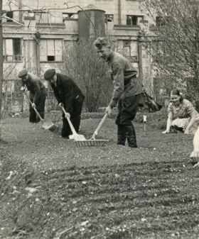 Ленинградцы на огороде. 1942–1943 гг. Фотограф Б. П. Кудояров. РМИ