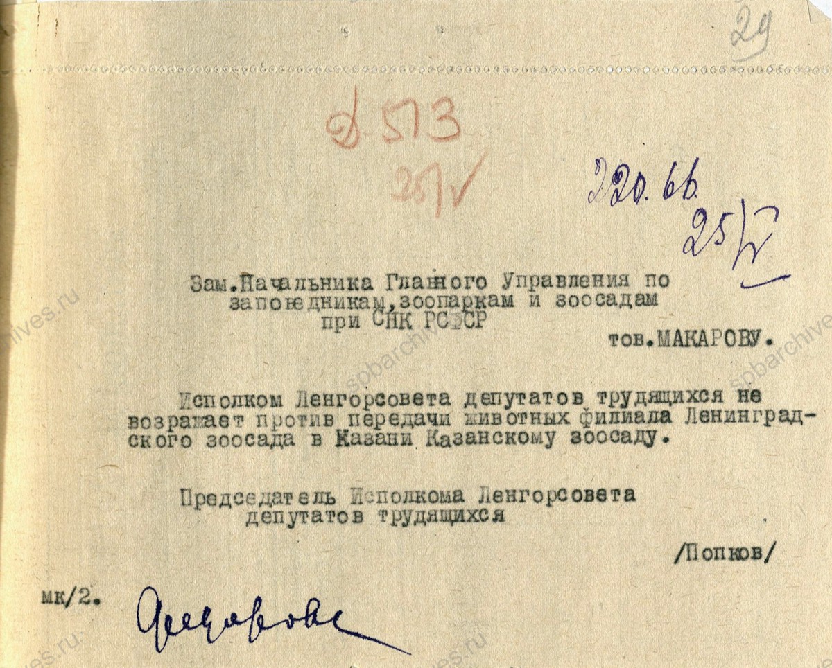 Письмо заместителя начальника Управления по делам искусств П.И. Рачинского заместителю председателя Ленгорисполкома Е.Т. Федоровой о реэвакуации из г. Казань животных Ленинградского зоосада. 8 мая 1944 г. ЦГА СПб. Ф. 7384. Оп. 17. Д. 1179. Л. 28−31 об.
