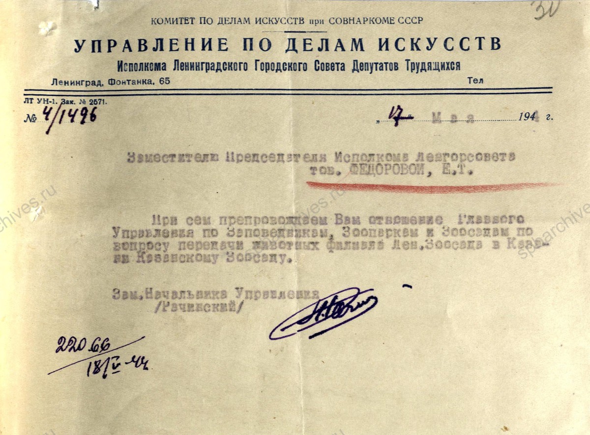 Письмо заместителя начальника Управления по делам искусств П.И. Рачинского заместителю председателя Ленгорисполкома Е.Т. Федоровой о реэвакуации из г. Казань животных Ленинградского зоосада. 8 мая 1944 г. ЦГА СПб. Ф. 7384. Оп. 17. Д. 1179. Л. 28−31 об.