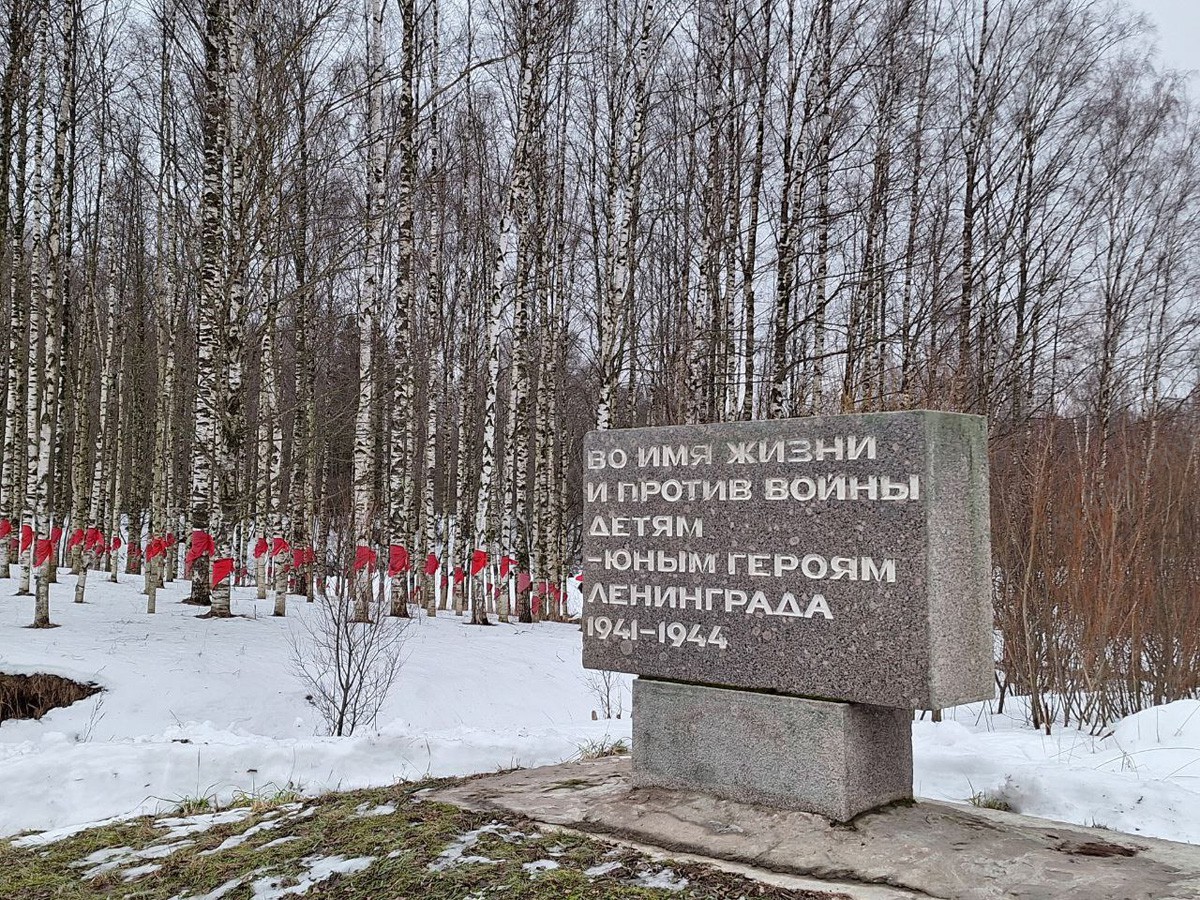 Мемориальный комплекс — «Цветок жизни», посвященный детям блокадного Ленинграда. Установлен неподалеку от Санкт-Петербурга на 3 км «Дороги жизни», ведущей из города к Ладожскому озеру. Комплекс состоит из памятника «Цветок жизни», Аллеи Дружбы, мемориала «Дневник Тани Савичевой» и других объектов, входит в Зеленый пояс Славы, протянувшийся по местам обороны города в 1941–1944 гг. 1968 — 1982 гг. Фото из личной коллекции сотрудников ЦГА СПб. 2023 — 2025 гг. 