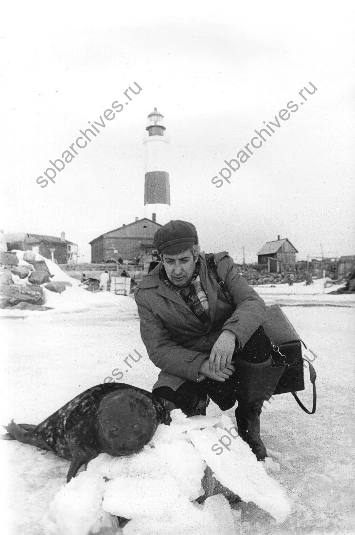 Фотокорреспондент ленинградской газеты «Смена» М.А.Ширман рассматривает тюленя. Март 1977 г. ленинградская обл., Ладожское озеро, о.Сухо. Автор съемки не установлен. ЦГАКФФД СПб. Ар 161683