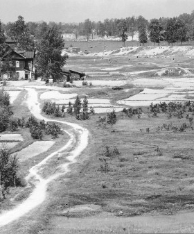 Ландшафт у северной границы города вблизи проспекта Энгельса. 1957 г. ЦГАКФФД СПб. Бр 40291